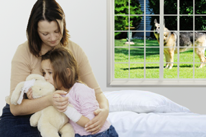 Atlanta Dog Bite Attorneys | Atlanta Dog Bite Lawyers